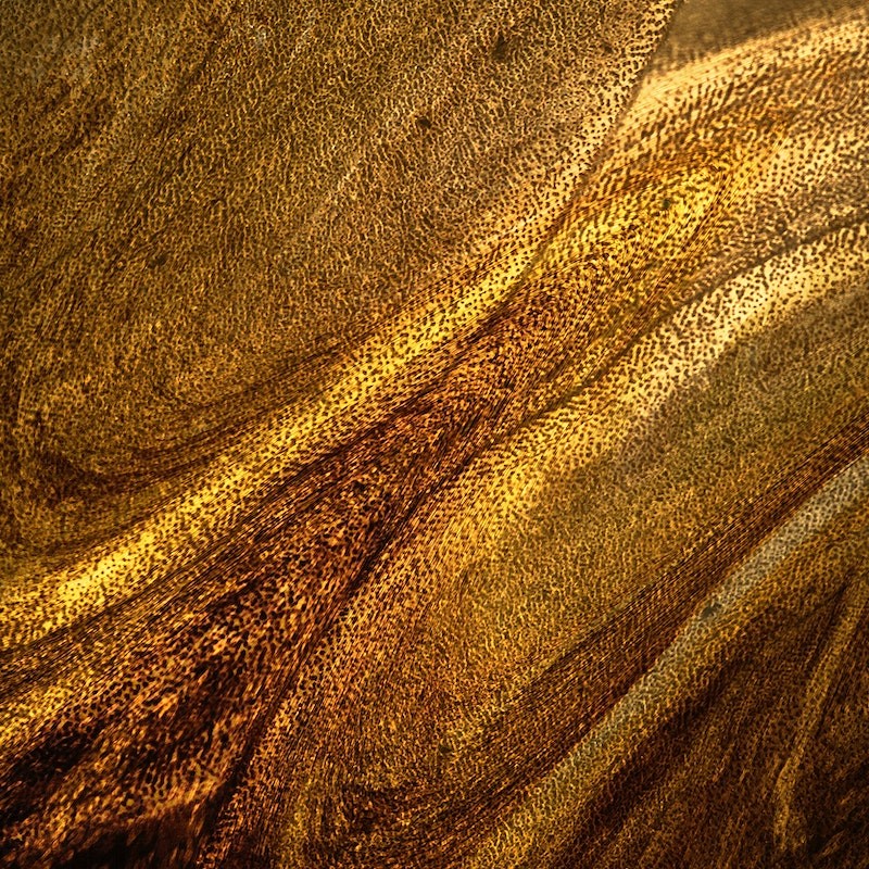 gold texture